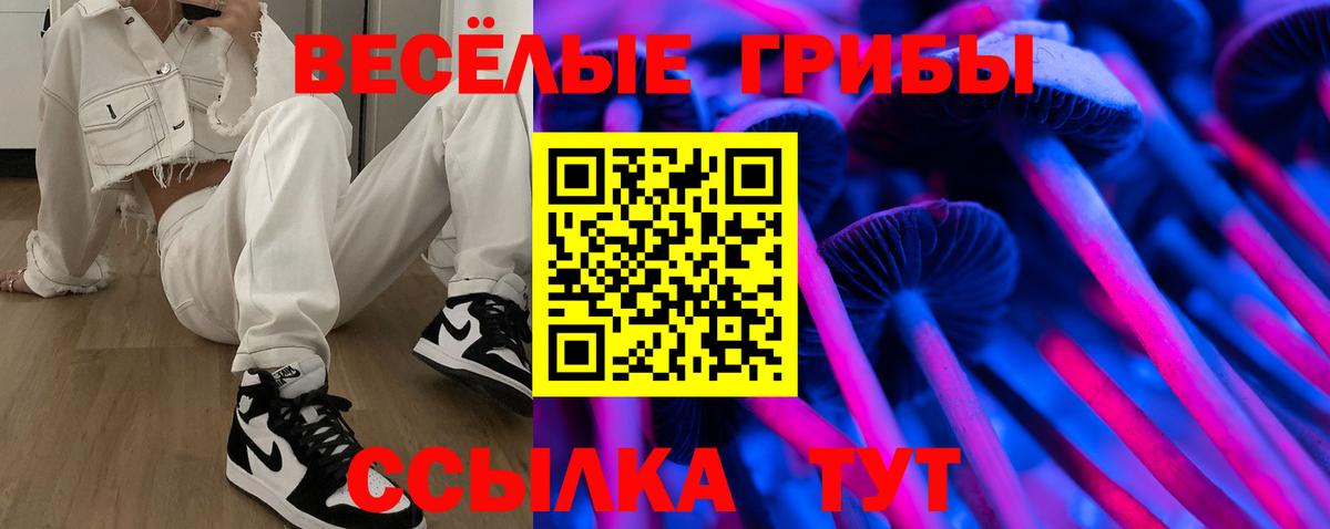Владимир  Псилоцибиновые грибы Cubensis  Вход с VPN 